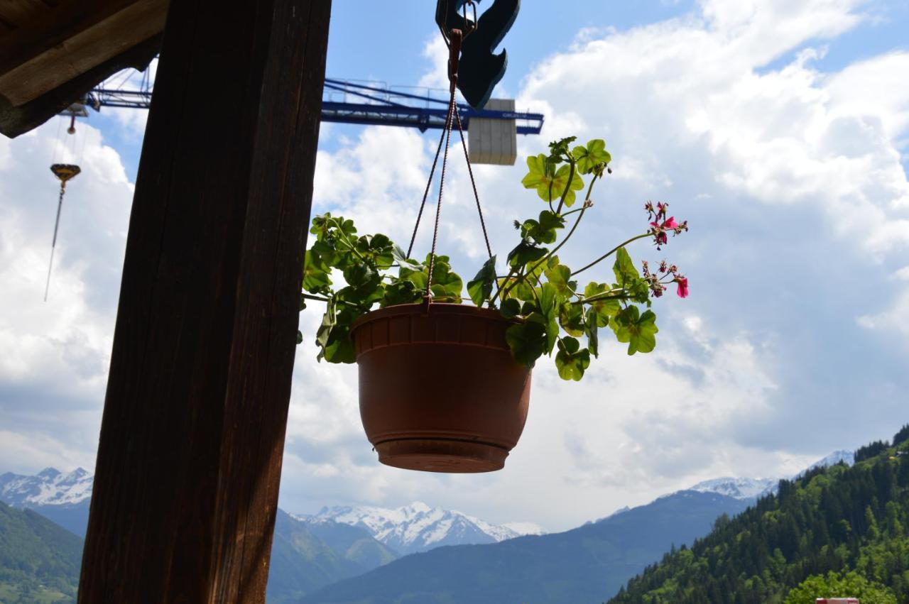 Haus Ebenberghof Appartement Zell am See Buitenkant foto